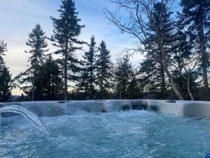 Bassein majutusasutuses Chalet Xo Tremblant - 5brs, Private Baths, Spa, Sauna & Rooftop või selle lähedal