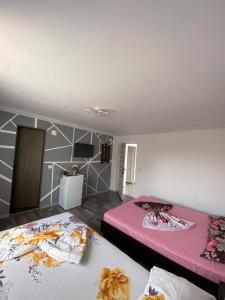 Kuchyň nebo kuchyňský kout v ubytování Casa Tomița