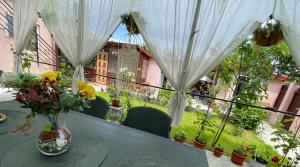 Zahrada ubytování Casa Tomița
