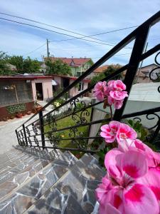 Balkón nebo terasa v ubytování Casa Tomița