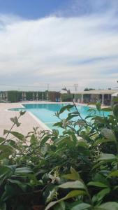 a view of a swimming pool from a plant at Locanda Corte Arcangeli in Ferrara