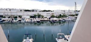 Marina Nirvana vue sur l'eau في لو غراو دو روا: مجموعة من القوارب الراسية في المرسى +32 صورة