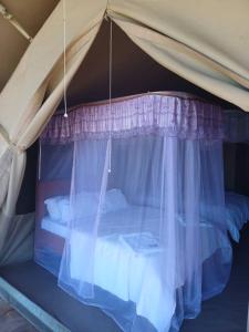 Bett in einem Zelt mit Baldachin in der Unterkunft Green Garden Serengeti Luxury Tented Camp in Banagi