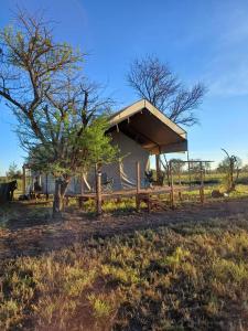 una tienda en un campo con un árbol y una valla en Green Garden Serengeti Luxury Tented Camp en Banagi