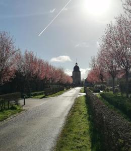 a road with trees and a building in the distance at La Vieille Ferme in Donnay