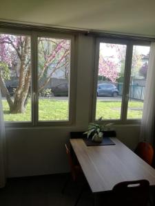 une chambre avec deux fenêtres et une table avec une plante dans l'établissement Appartement Les Trois Renards-Tassin, à Tassin-la-Demi-Lune