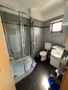 łazienka z prysznicem, toaletą i umywalką w obiekcie Apartman Silo w mieście Šilo