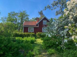 czerwony dom pośrodku ogrodu z kwiatami w obiekcie Karlshamn 1 Sankt Anna Söderköping w mieście Söderköping
