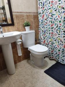 a bathroom with a toilet and a sink at Casa Capi in La Orotava +4 photos