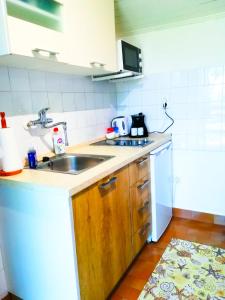 Kuchyň nebo kuchyňský kout v ubytování Felix Apartment Biograd