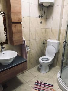 a bathroom with a toilet and a sink at Apartments Jadra in Kučište