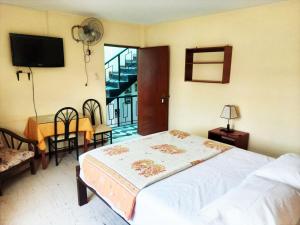 a bedroom with a bed and a table and a television at Anccalla Inn Guesthouse in Nazca