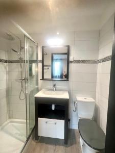 een badkamer met een wastafel, een douche en een toilet bij Résidence ATIPYC in Marssac-sur-Tarn