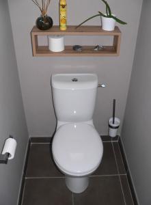 uma casa de banho com um WC com uma prateleira por cima em La petite chambre du lac em Carcassonne