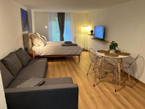 - un salon avec un canapé et un lit dans l'établissement Studio SIEVA, à Lausanne
