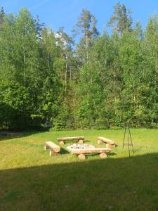 a group of picnic tables in a grass field at Dwór pod Sosnami Kaszuby, sauna in Ostrzyce