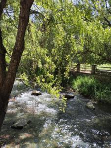 a creek with a bridge and trees and water at Alojamiento Maria in Pinos Genil