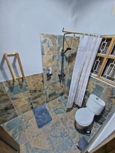 a bathroom with a toilet and a shower at Mazzola Safari House & Backpacking in Arusha
