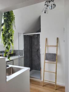 eine Küche mit einem Waschbecken und einer Dusche mit einer Leiter in der Unterkunft Studios idéalement situés - EU in Brüssel