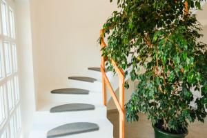 Una escalera con una planta al lado en Villa Luka Sukošan, en Sukošan