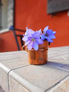 Fotografie z fotogalerie ubytování B&B Casa del Conte v destinaci Soligo