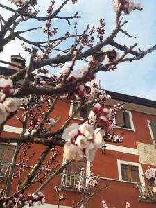Fotografie z fotogalerie ubytování B&B Casa del Conte v destinaci Soligo
