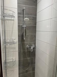 a bathroom with a shower with a shower head at Studio Cosy en cœur de ville in Pau