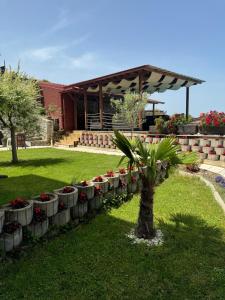 Κήπος έξω από το Villa Stefan Ohrid