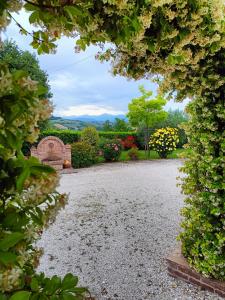 Afbeelding uit fotogalerij van Cinguettio -relax con Jacuzzi- in Fermo +33 foto's