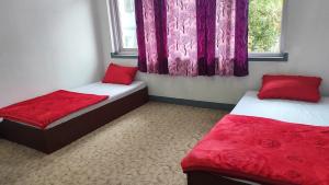 2 letti in una camera con cuscini rossi e finestra di Budget Backpacker's Hostel a Patan