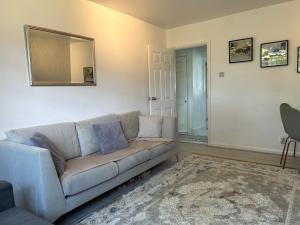 One Bedroom Flat in Chiswick W4 في لندن: غرفة معيشة مع أريكة ومرآة