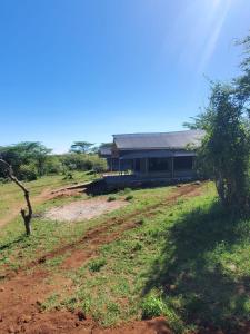 SekenaniにあるElephant trails campのギャラリーの写真