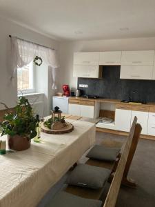 a kitchen with white cabinets and a table with a plant at Chata Pod Vysokým kamenem in Vejprty