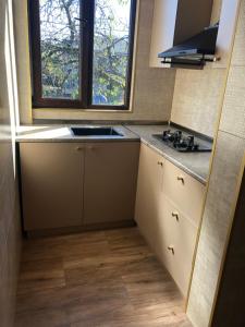 A kitchen or kitchenette at Vakho house