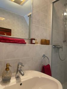 y baño con lavabo y ducha. en Gemütliche Wohnung idyllische Lage Nähe Frankfurt en Alzenau in Unterfranken