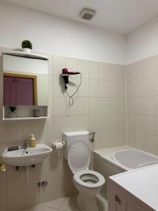 uma casa de banho com um WC, um lavatório e um espelho. em Apartman Bebic em Klek