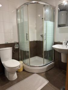 a bathroom with a shower and a toilet and a sink at Prime City Apartments in Skopje +11 photos