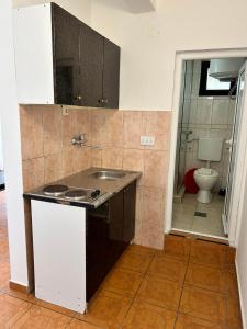 uma cozinha com um lavatório e um WC num quarto em GuestHouse Moco Forest em Ulcinj