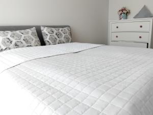 En eller flere senge i et værelse på Vidmantės apartamentai + 3 billeder