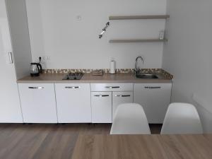 Køkken eller tekøkken på Vidmantės apartamentai