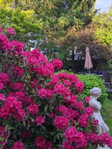 魯拉的住宿－里賈納格斯火斯公寓，一座花园,花园内种有粉红色的鲜花,并拥有雕像和遮阳伞