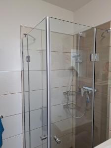 a shower with a glass door in a bathroom at Ferienwohnung Sandra in Vorchdorf