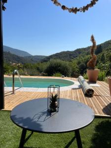 una mesa con una planta junto a una piscina en La Storya, en Meyras