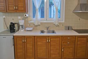 a kitchen counter with a sink and a window at Vintage Garden House in Doxato
