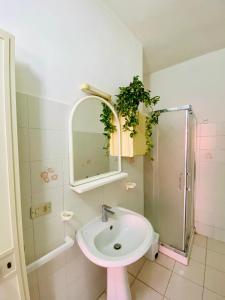 a bathroom with a sink and a mirror and a shower at Casetta Oasi Campo ai Peri in Casa Marchetti