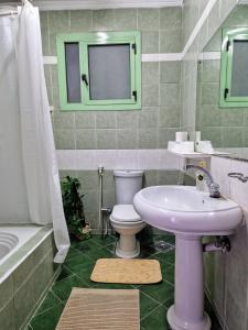 a bathroom with a sink and a toilet and a mirror at Tranquil Condo in Zamalek in Cairo +9 photos