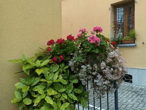 Une bande de fleurs accrochée à un bâtiment dans l'établissement Appartamenti Borghetto San Donato 105, à Bologne