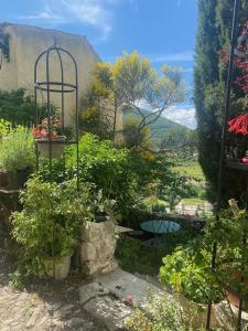 un jardín con macetas y una mesa en Les Magnolias, en Montbrun-les-Bains