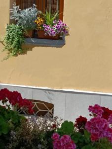 dwa zdjęcia kwiatów w oknie w obiekcie Appartamenti Borghetto San Donato 105 w Bolonii