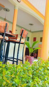 two chairs sitting on a porch next to a plant at Bwiranda Hotel in Kasese